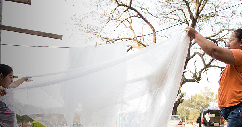Mother and daughter holding a mosquito net